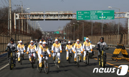 성화봉송, 통일대교로