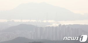앞이 안 보이는 부산항대교