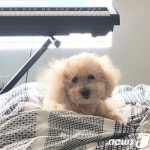 [펫피플]서정희 딸 서동주 유기견 돌보는 일, 보람있죠