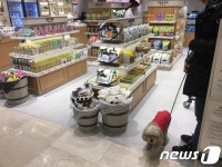 [르포]백화점 첫 펫 컨설팅스토어…달리도 개(犬)만족