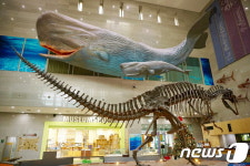 [2월 추천 여행지 ①] 공룡시대부터 1987년까지 한꺼번에