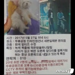 행인들이 데려가 없어졌던 반려견 8개월만에 찾았다