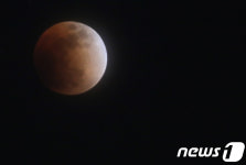 완벽히 블러드문으로 변신