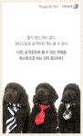 [펫카드] 개가 무는 이유가 궁금해?