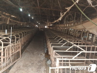 전북 익산 서부권 악취 주범 ‘영명농장’ 철거