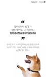 [펫카드] 발 핥는 강아지, 이유는?