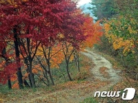 예산군 ‘느린꼬부랑길 1코스’ 2월 걷기여행길 선정돼