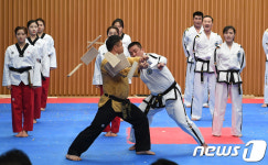 남북 태권도시범단의 격파