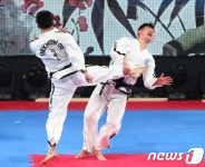 남북 태권도시범단의 발차기