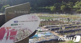 창원시 농업기술센터, 진해 주말체험농장 무료 분양