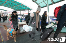 설 연휴 마지막 날, 반려견과 함께 집으로