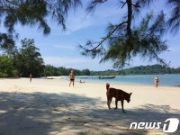 덜 알려져서 더 빨리 가야 하는 지상낙원