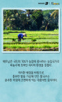 [카드뉴스][스토리N쿡] 웰빙음식 베트남 쌀국수 퍼(pho)