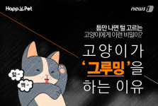 [김재영 원장의 펫토피아] 고양이가 그루밍하는 이유