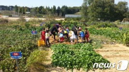 도심 속 힐링 익산시 주말농장 분양…가구당 33㎡