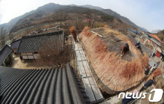초가지붕 이엉잇기 한창