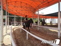 홍성군, 승마체험 학생 320명 모집