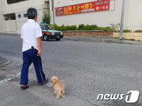 [펫티켓이 답이다②] 해외선 맹견 사육기준 엄격