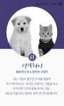 [펫카드] 개와 고양이 함께 키우려면?