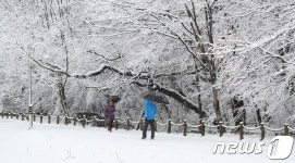 상림공원 하얀세상