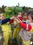 어린이 도시농부 키운다…서울시, 친환경농업 체험교육