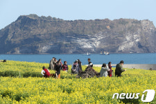 화창한 서귀포의 봄 느끼는 관광객