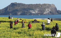 화창한 서귀포의 봄