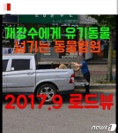 광양시 위탁동물병원 개장수에게 유기견 넘기다 덜미