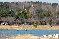 도심 속 생태 공간, 속초 영랑호 둘레길 인기