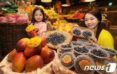 제주의 봄햇살 담은 프리미엄 과일 맛보세요