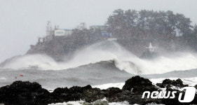 거센 부산 파도