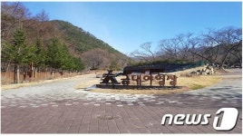 치악산 구룡자동차야영장·금대에코힐링장 내달 개장
