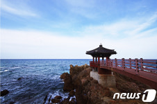 이사부길·물소리길…따스한 봄바람 따라 걷고 싶네