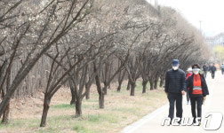 미세먼지 감소에 매화길 산책