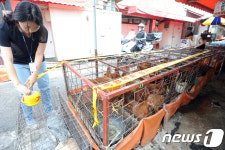 전통시장 살아있는 오리, 병아리 판매 금지