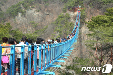 봄따라 상춘객 몰린 원주 소금산 출렁다리  