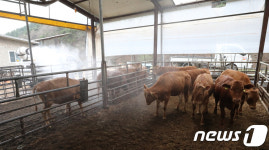 구제역 비상, 방역 철저히