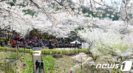 벚꽃 엔딩 서대문 안산에서 음악회 즐겨요