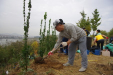 미세먼지 개선 나무심기, 서울 거주 중국인도 동참