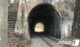 지금, 만나러 갑니다…심포리역 하이원추추파크 패키지