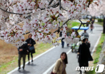 강릉 경포벚꽃잔치 개막…12일까지 열려