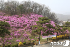 효성, 7~8일 안양공장 개방…진달래축제에 지역주민 초대