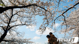 아름다운 봄날