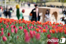 울산대공원 튤립축제