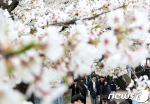 벚꽃길 걸으며 힐링해요