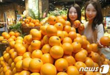 현대시티몰 가든파이브, 상큼한 오렌지 들여가세요~!