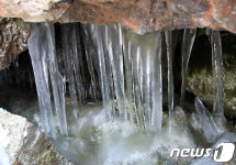 밀양의 신비 얼음골…따스한 봄날씨에도 고드름 주렁주렁