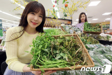 충남도, 관광지 주변 유통 봄나물 안전성 조사