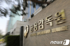 흔들리는 금융감독원