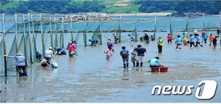 봄 여행주간은 오감만족 어촌에서..해수부, 어촌체험마을 20선 추천